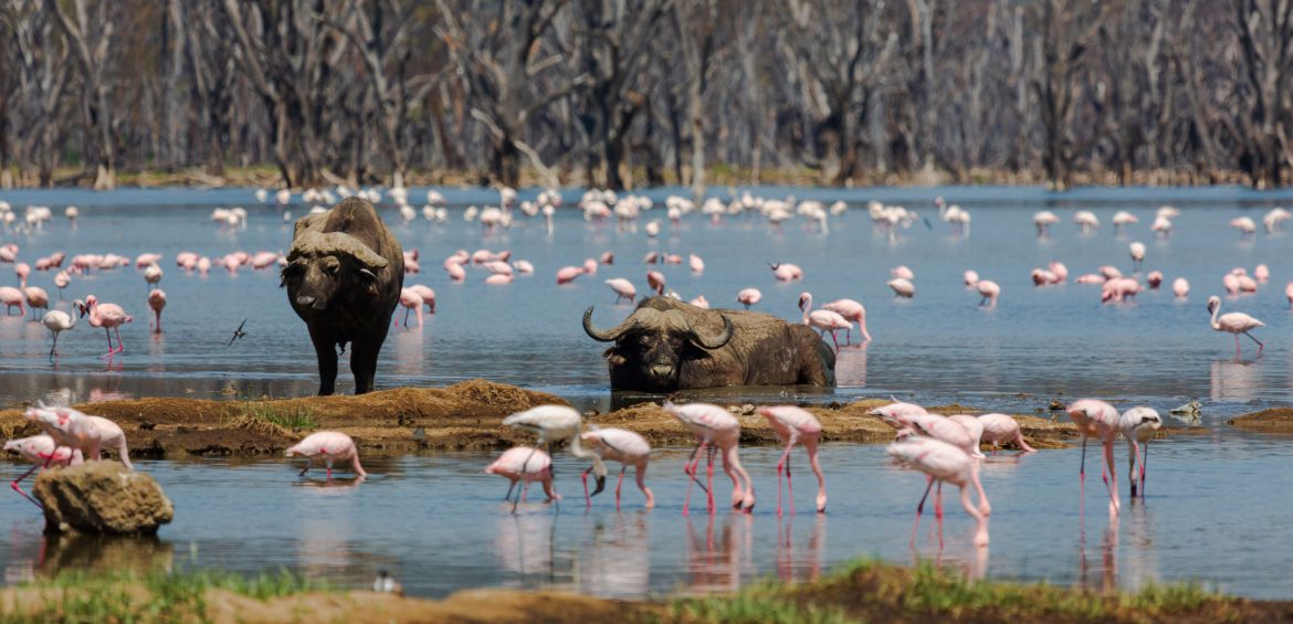 LUXURY EAST AFRICA TOUR