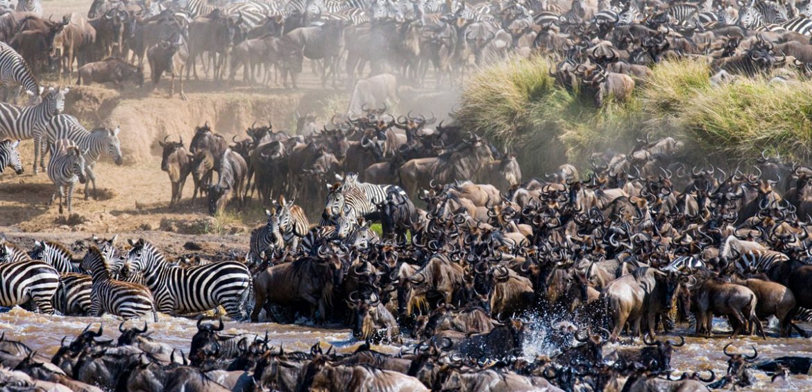 THE ULTIMATE KENYA AND TANZANIA ADVENTURE