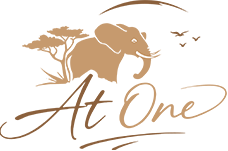 At One Safari