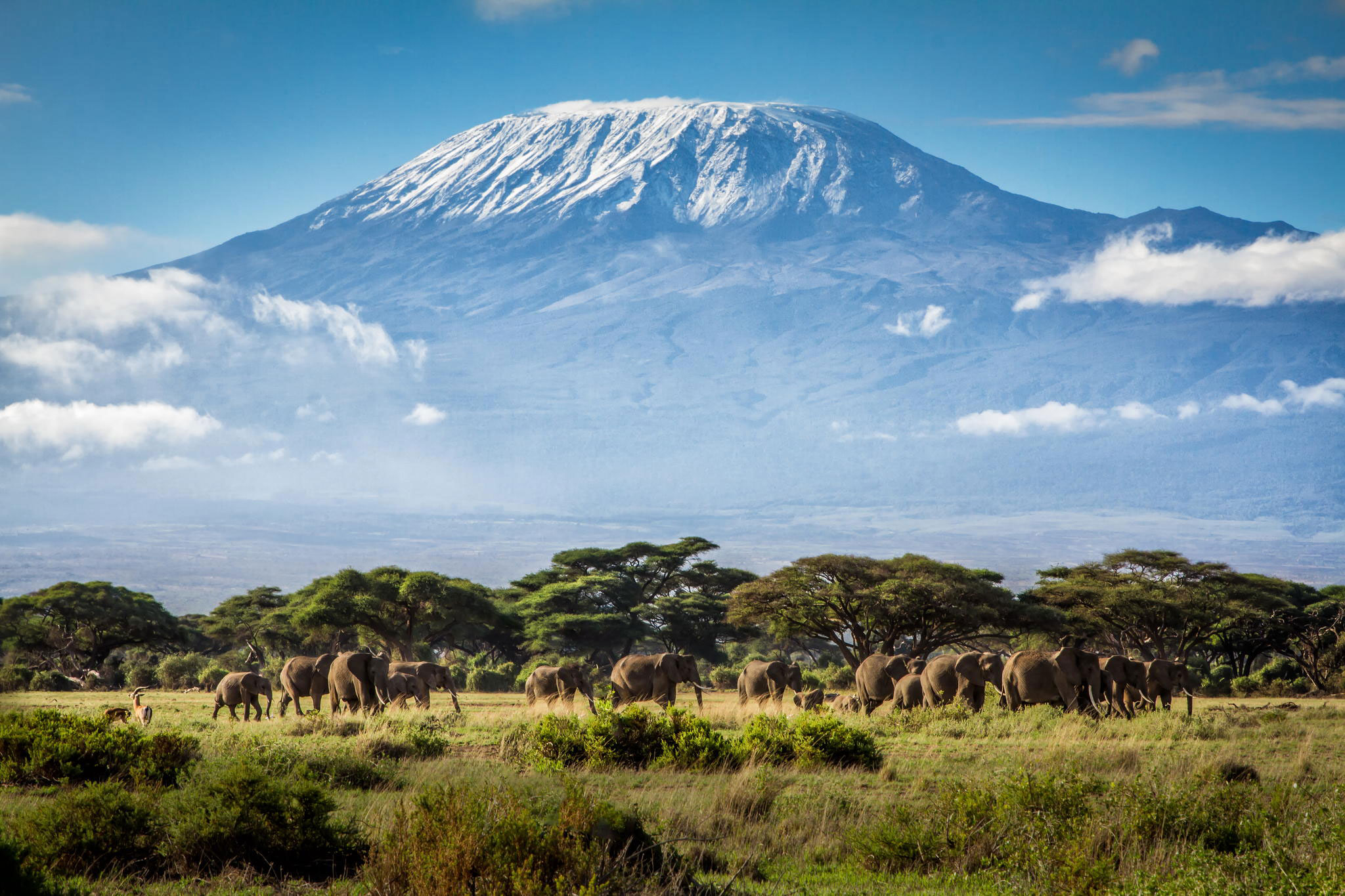 Mt.-Kilimanjaro