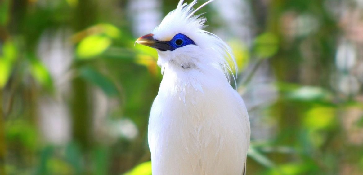 BUSH AND BEACH GATEWAY