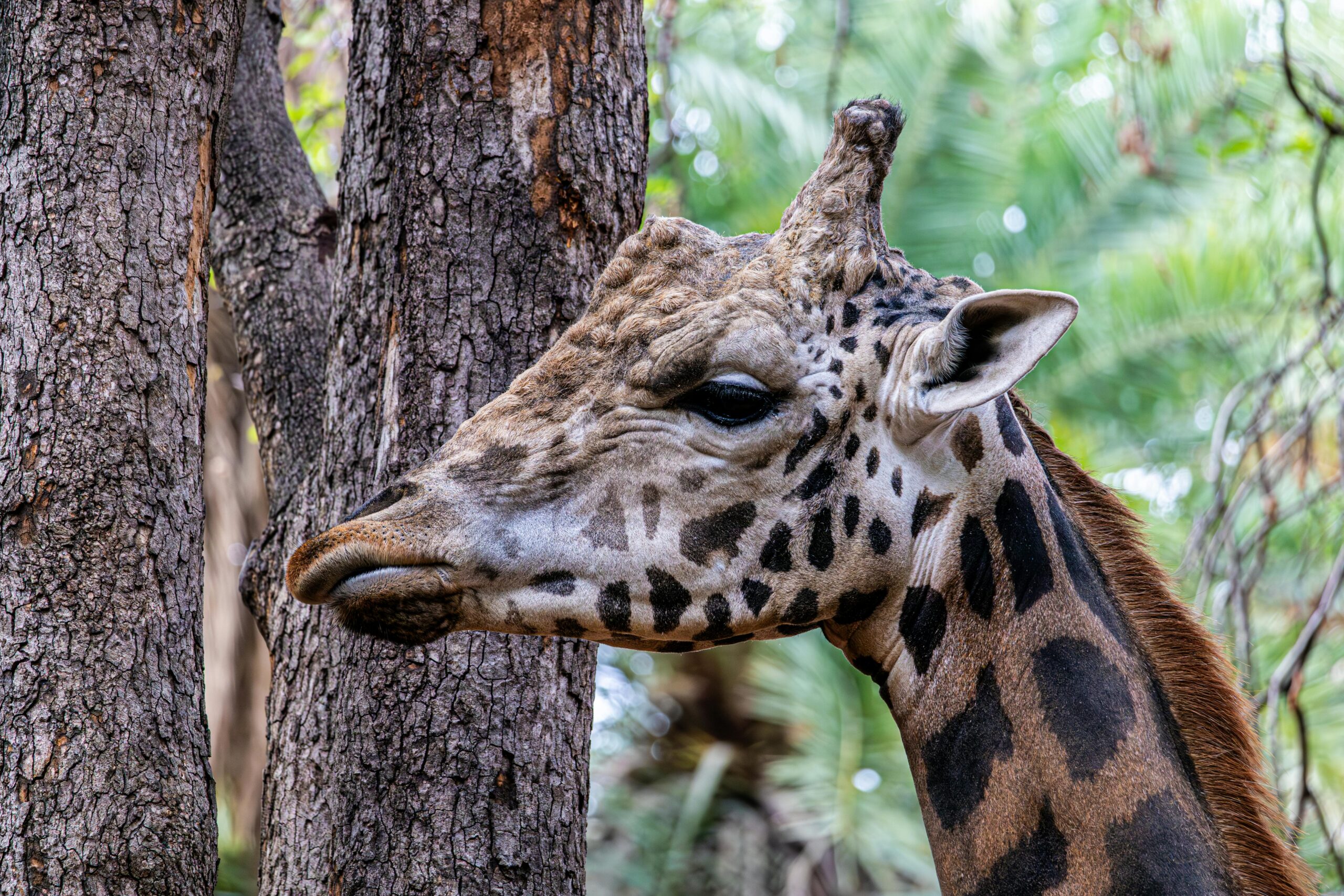 pexels-regan-dsouza-1315522347-30963295-scaled