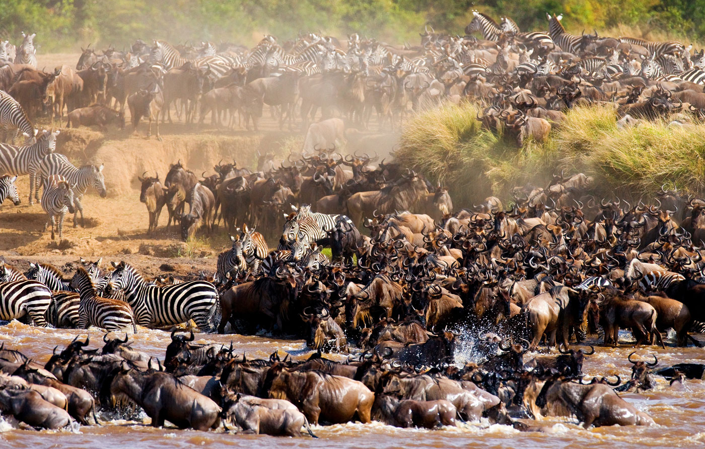 Serengeti-national-park-Migration-(2)